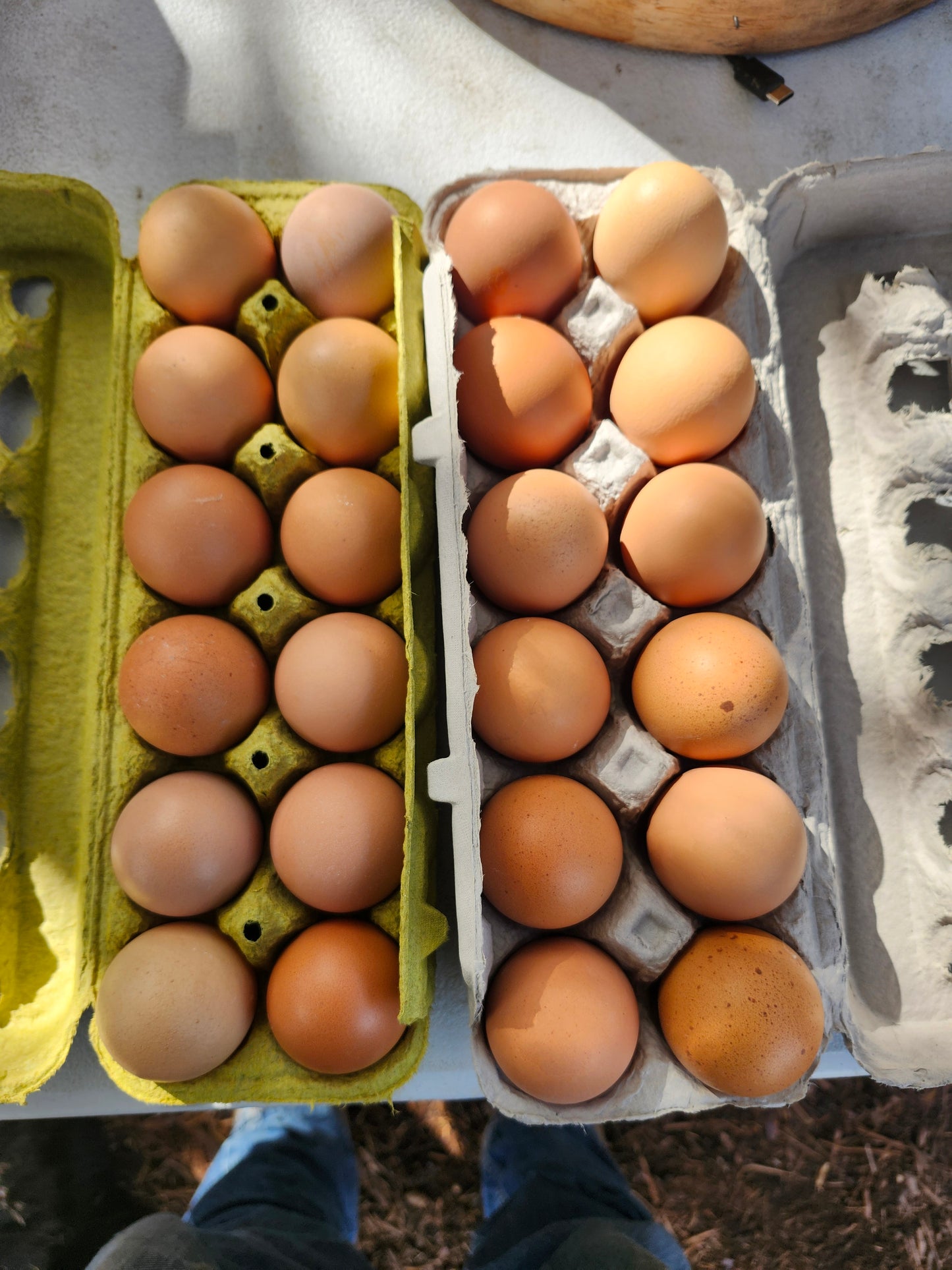 Pasture Raised Chicken Eggs | Dozen
