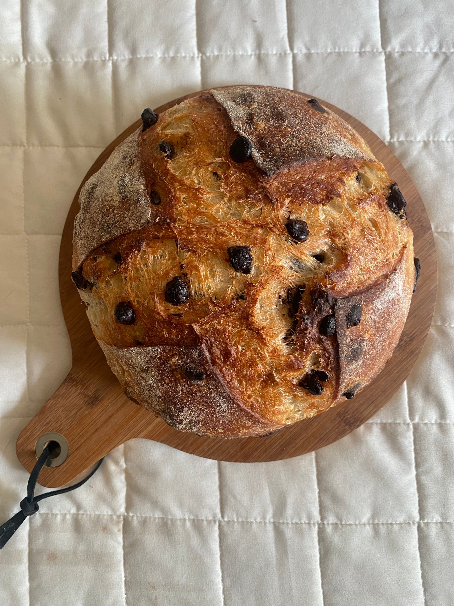Chocolate Chip and Brown Sugar Sourdough Loaf