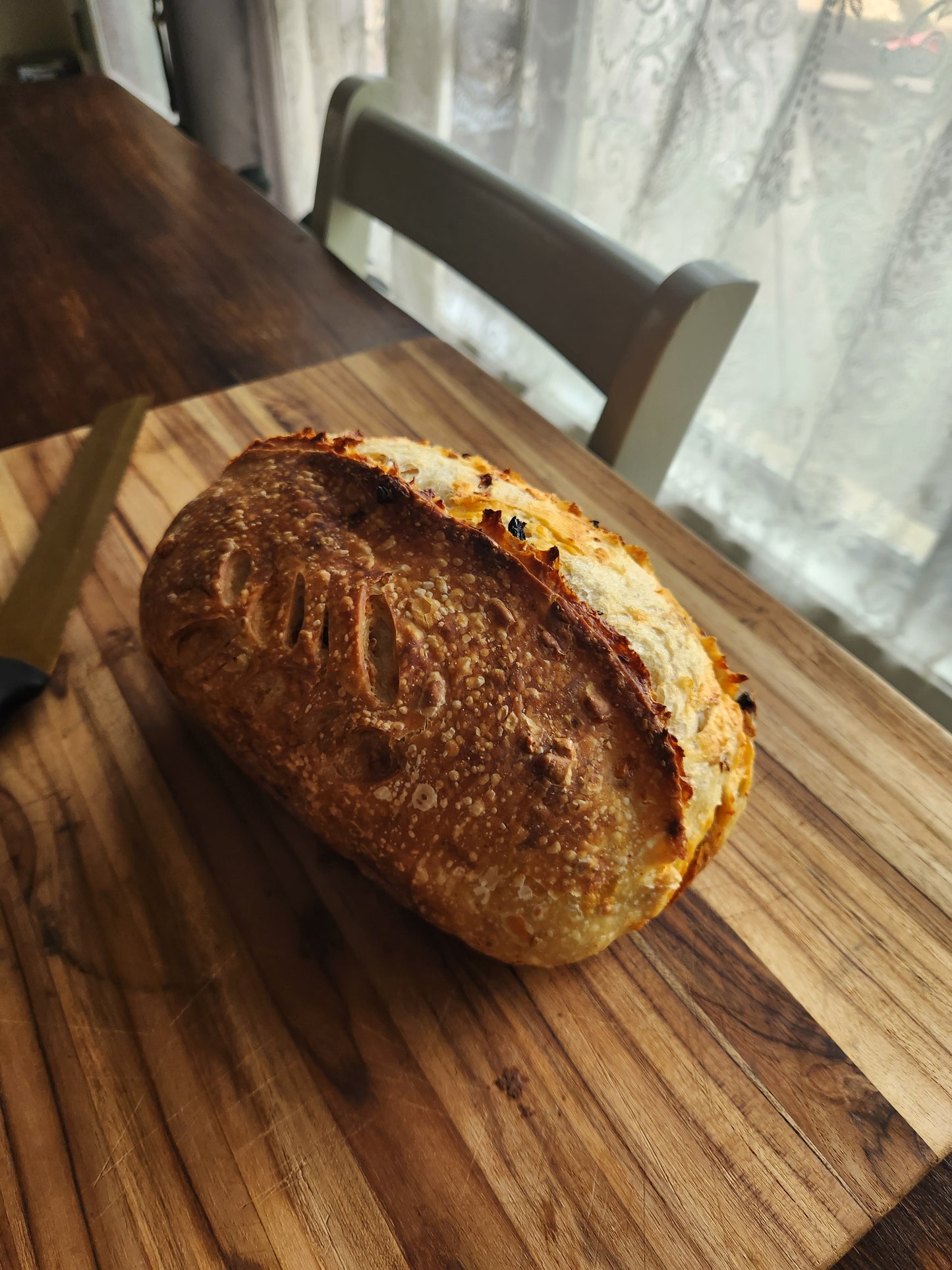 Organic Sourdough Holy Jalapeño | 1 Loaf