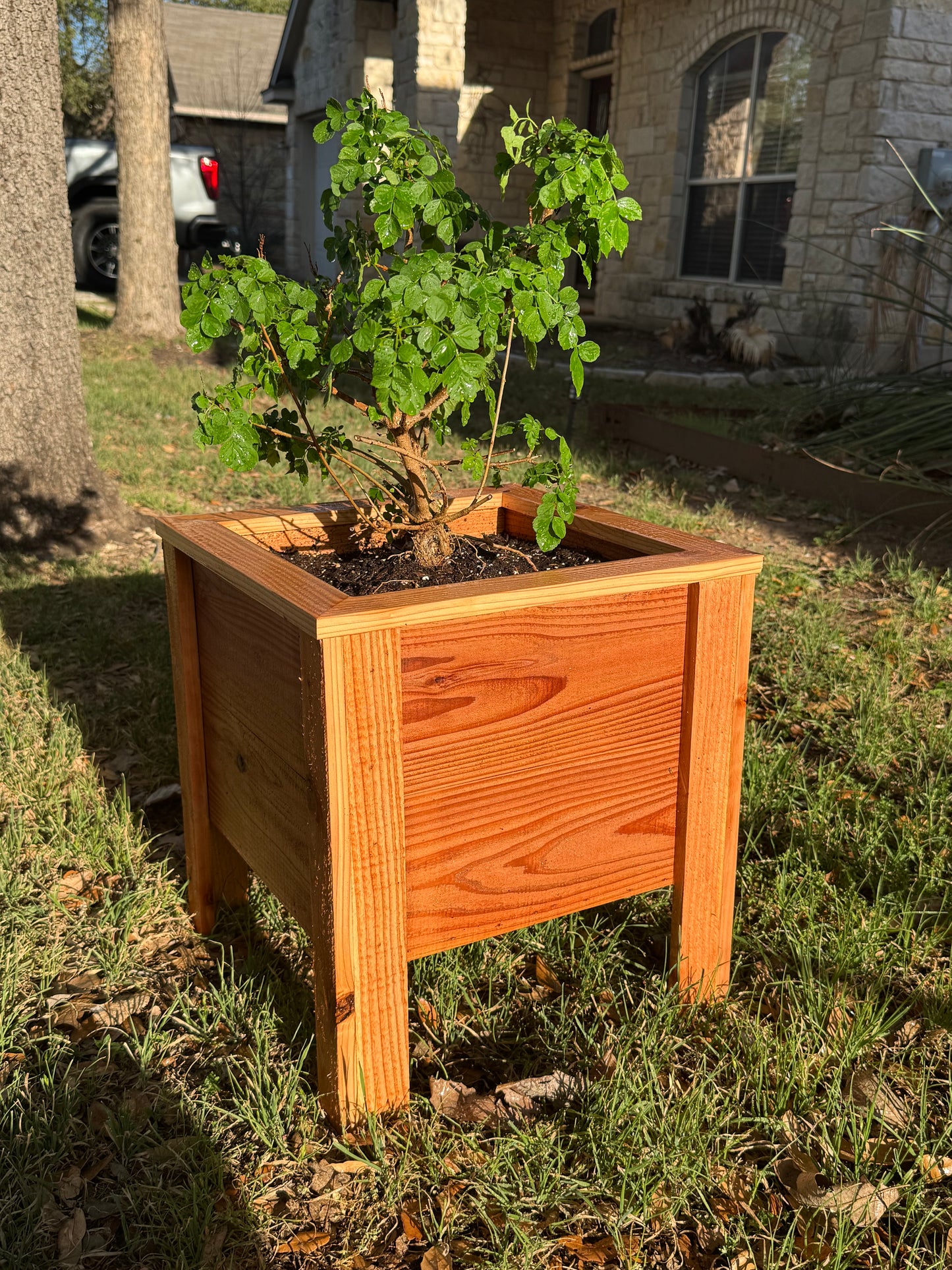 Cedar Planter Box | 15.5" x 15.5" Raised Garden Bed - 16.5" Tall