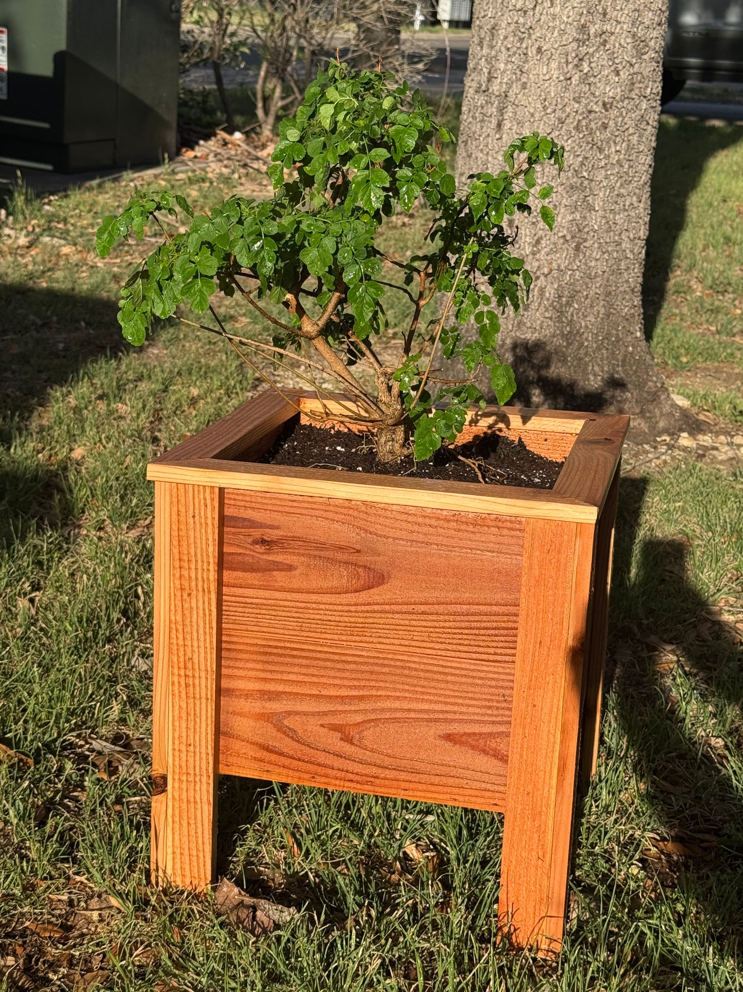 Cedar Planter Box | 15.5" x 15.5" Raised Garden Bed - 16.5" Tall