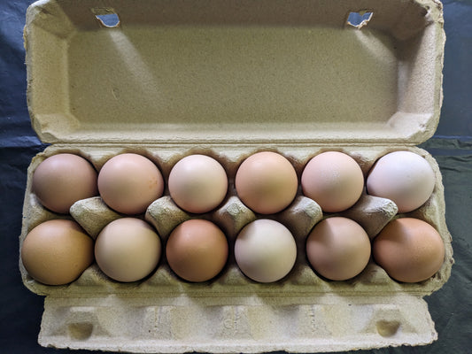 Farm Fresh Eggs | Dozen