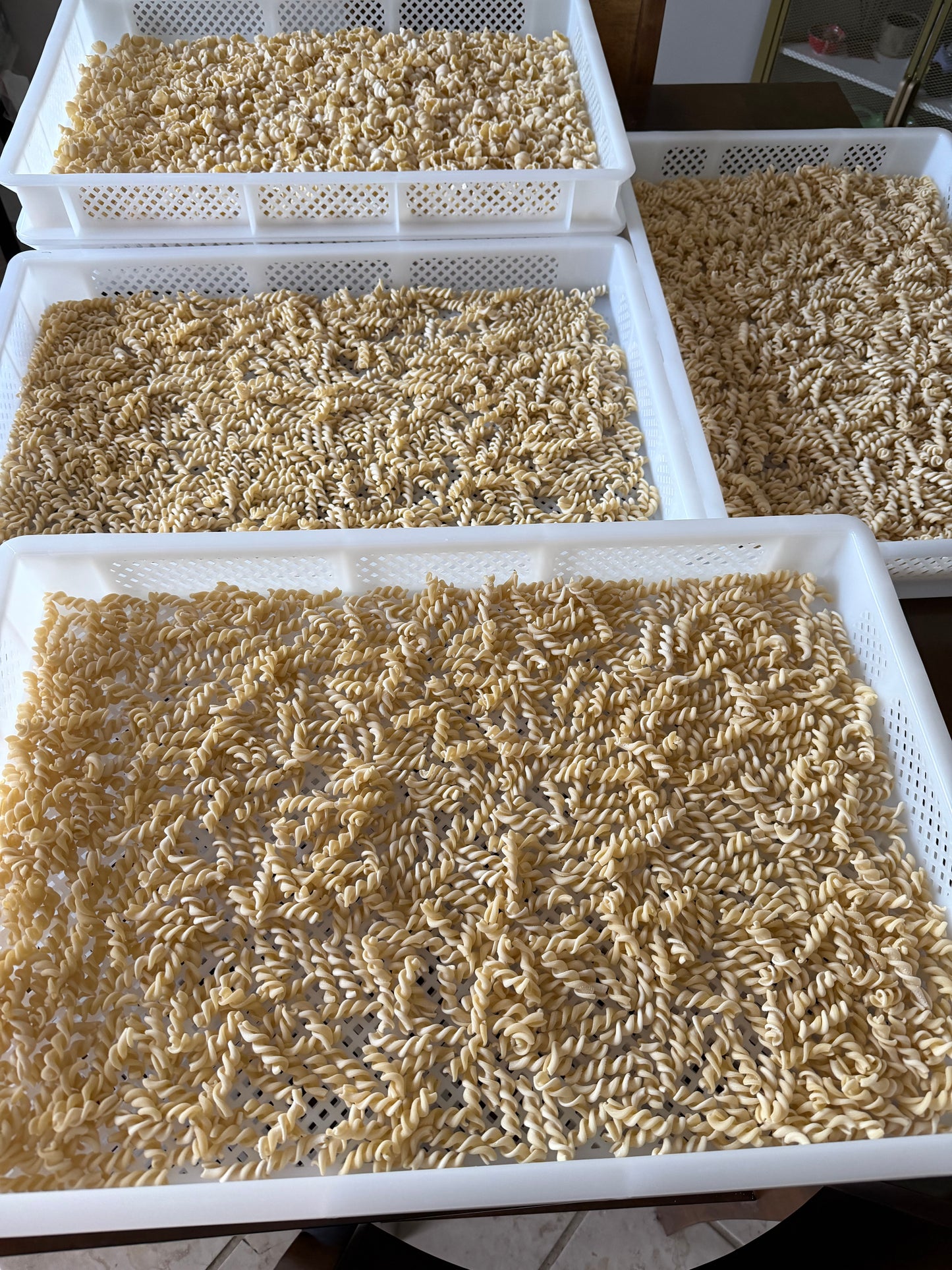 Pasta Bundle: Trecce & Fusilli | 2 lb Bundle (1 lb of each)