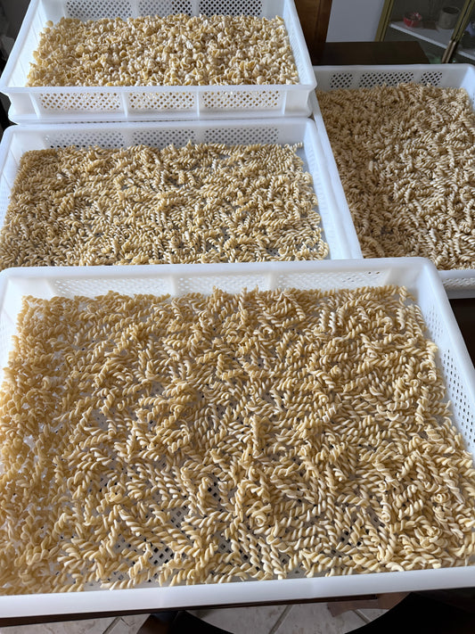 Pasta Bundle: Trecce & Fusilli | 2 lb Bundle (1 lb of each)