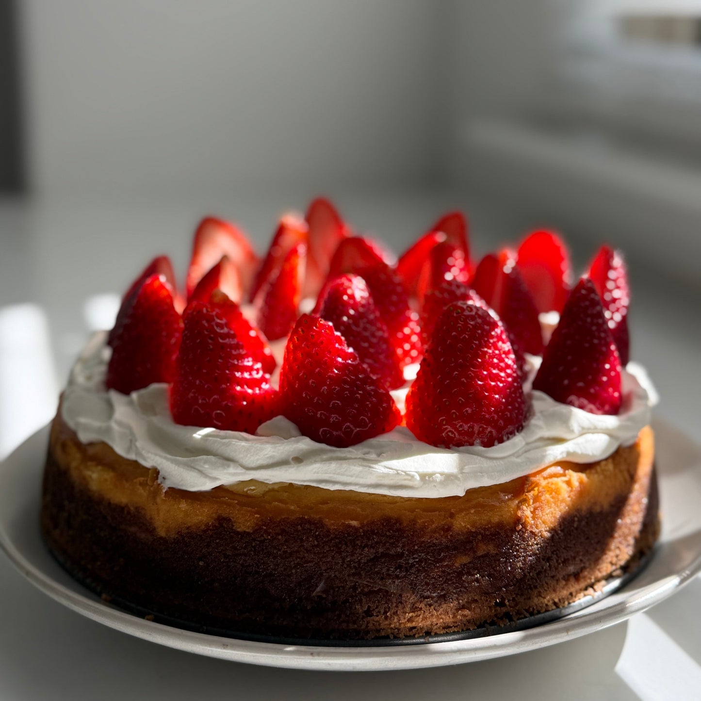 Strawberry Cheesecake with Fresh Strawberries | 14-16 slices