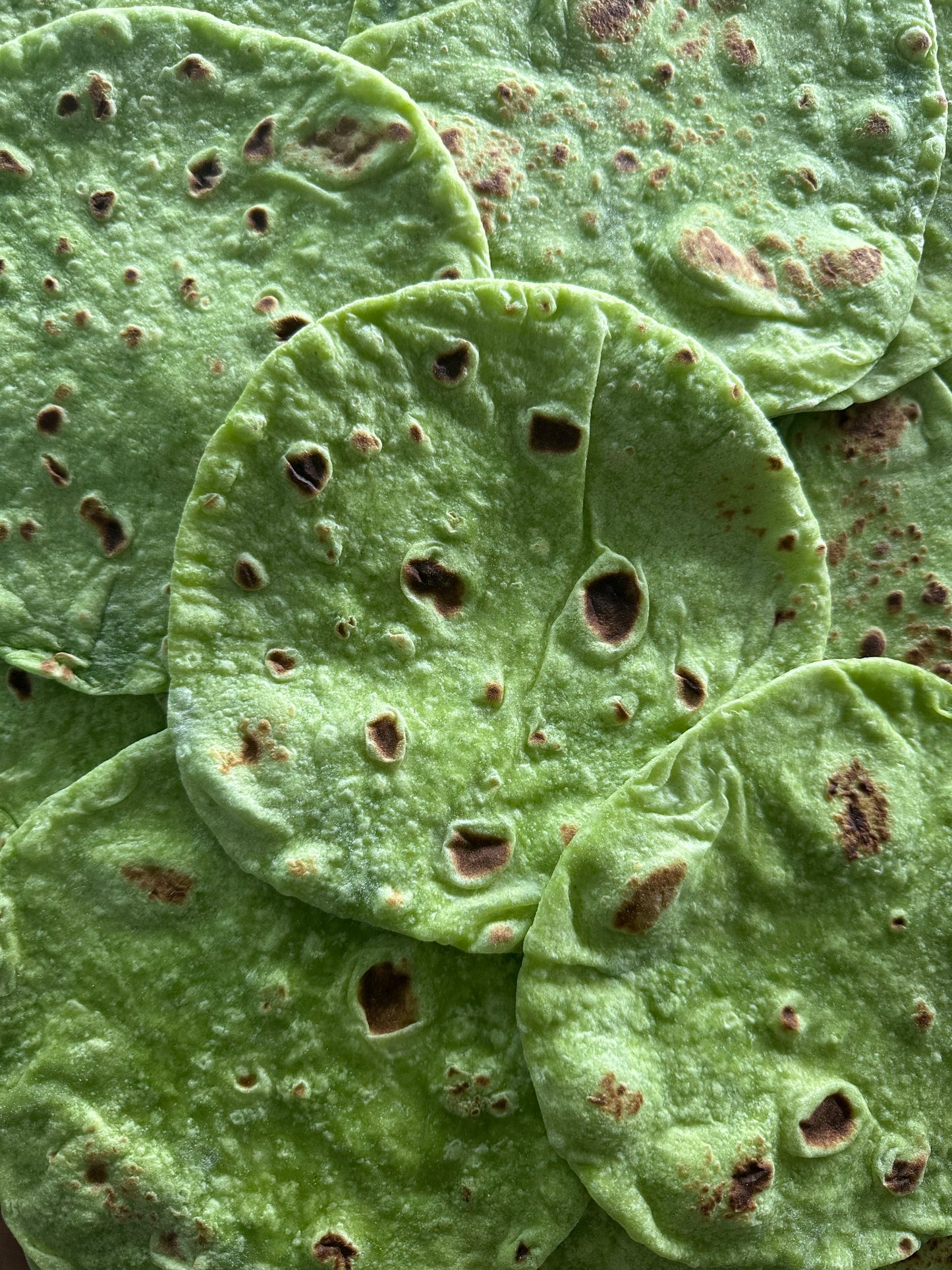 Organic Butter Flour ‘SPINACH' Tortillas | 10 Tortillas
