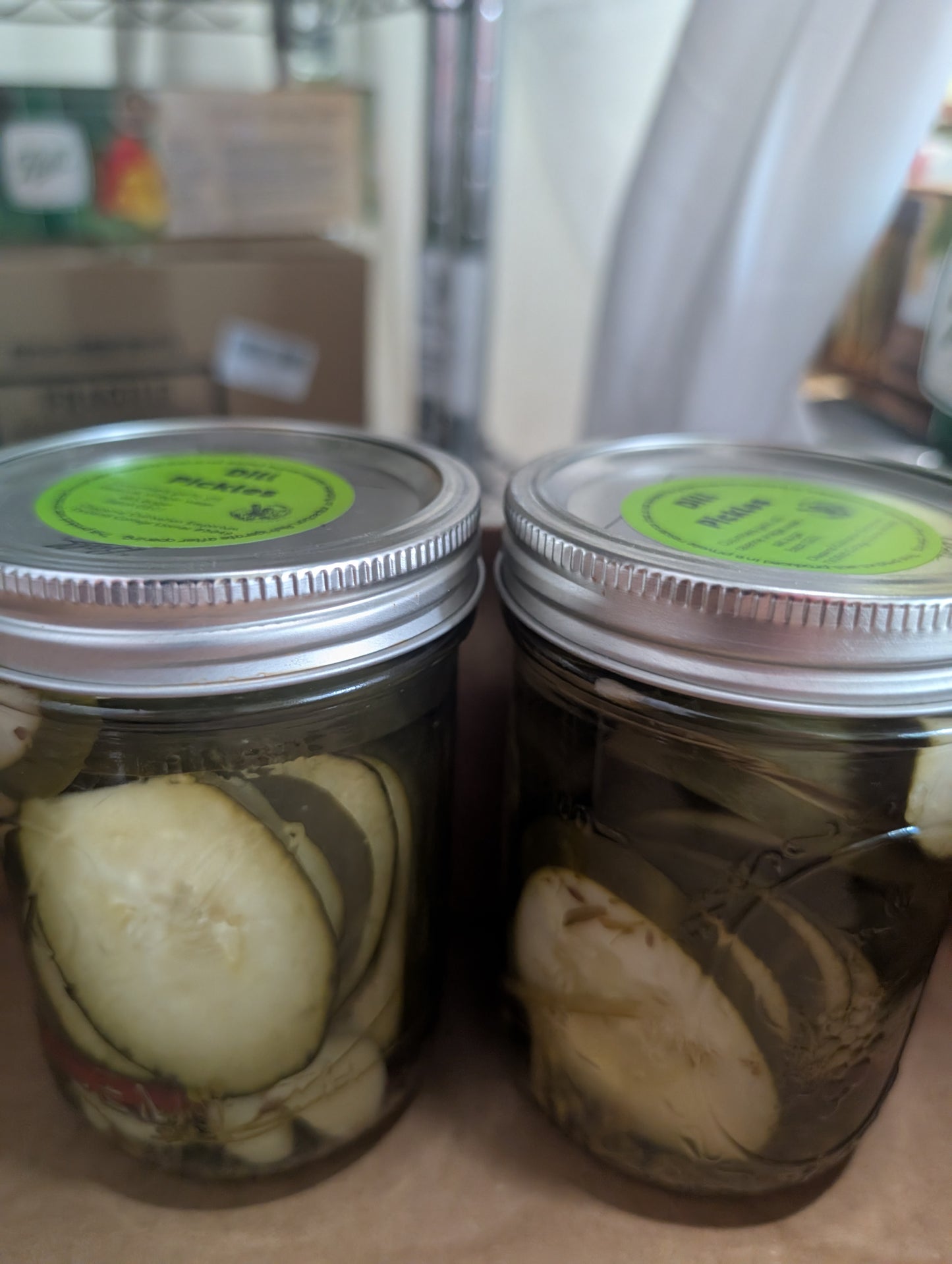 Dill Pickles (Slices) | 1 Pint
